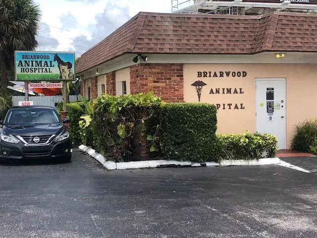 Briarwood Animal Hospital, Florida, Miami